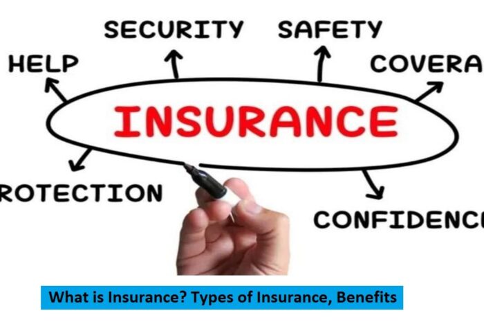 What is Insurance: Definition, Benefits, and Types