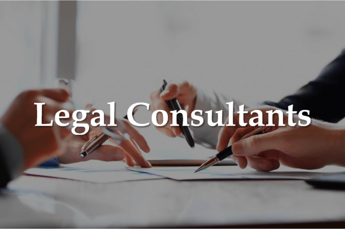 Services Provided by Techno Legal Consultancy